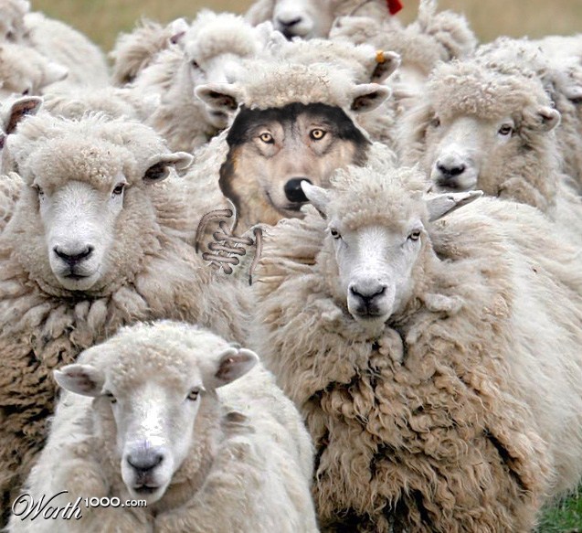 wolf-in-sheep-clothing.jpg